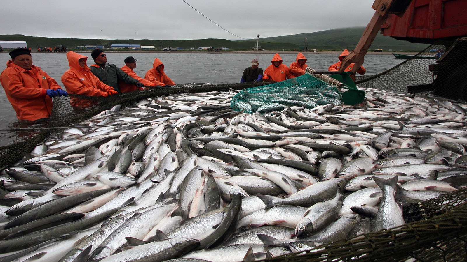 Запрет вылова великобритании. Рыбное хозяйство Магаданской области. Рыбная промышленность дальнего Востока. Рыбный промысел на Дальнем востоке. Рыбная промышленность Магадан.